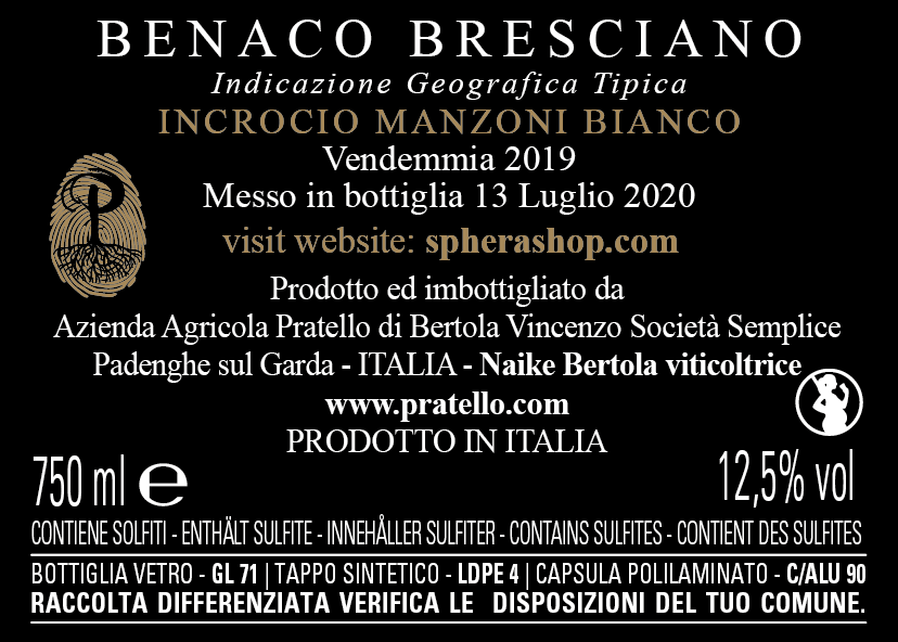 Manzoni Bianco Anfora 2019