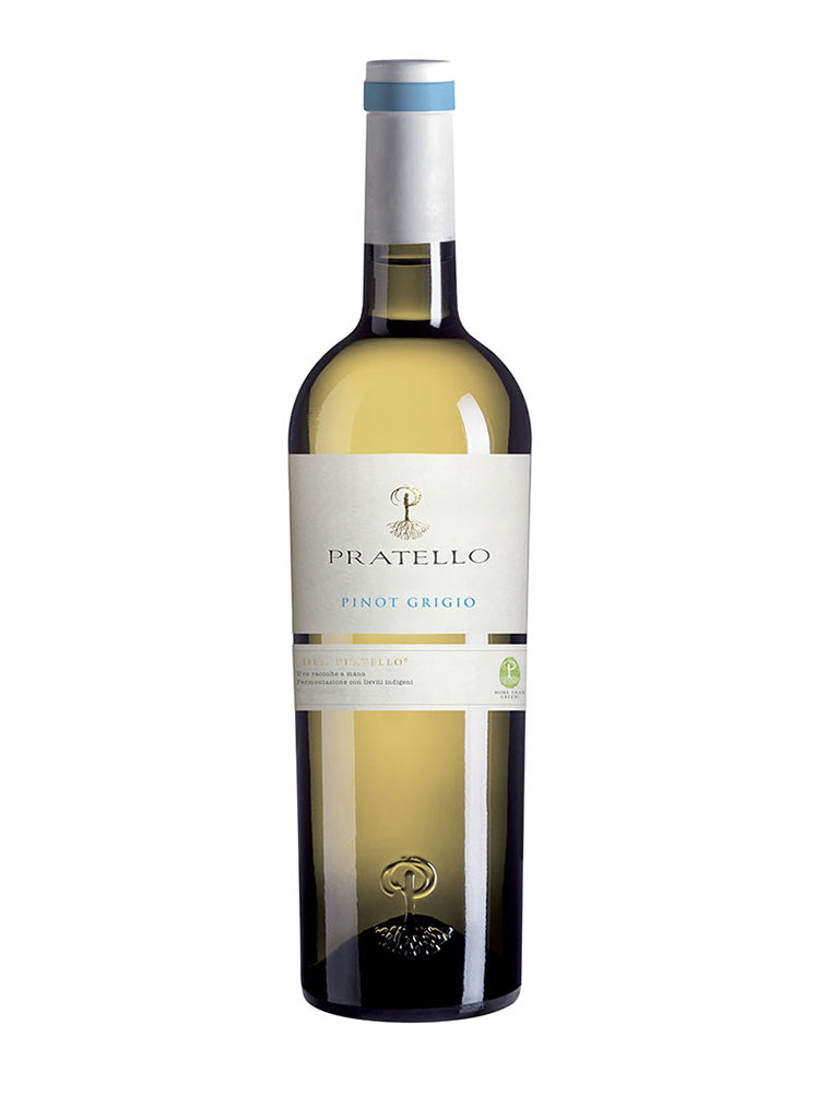 Pinot Grigio - annata 2023