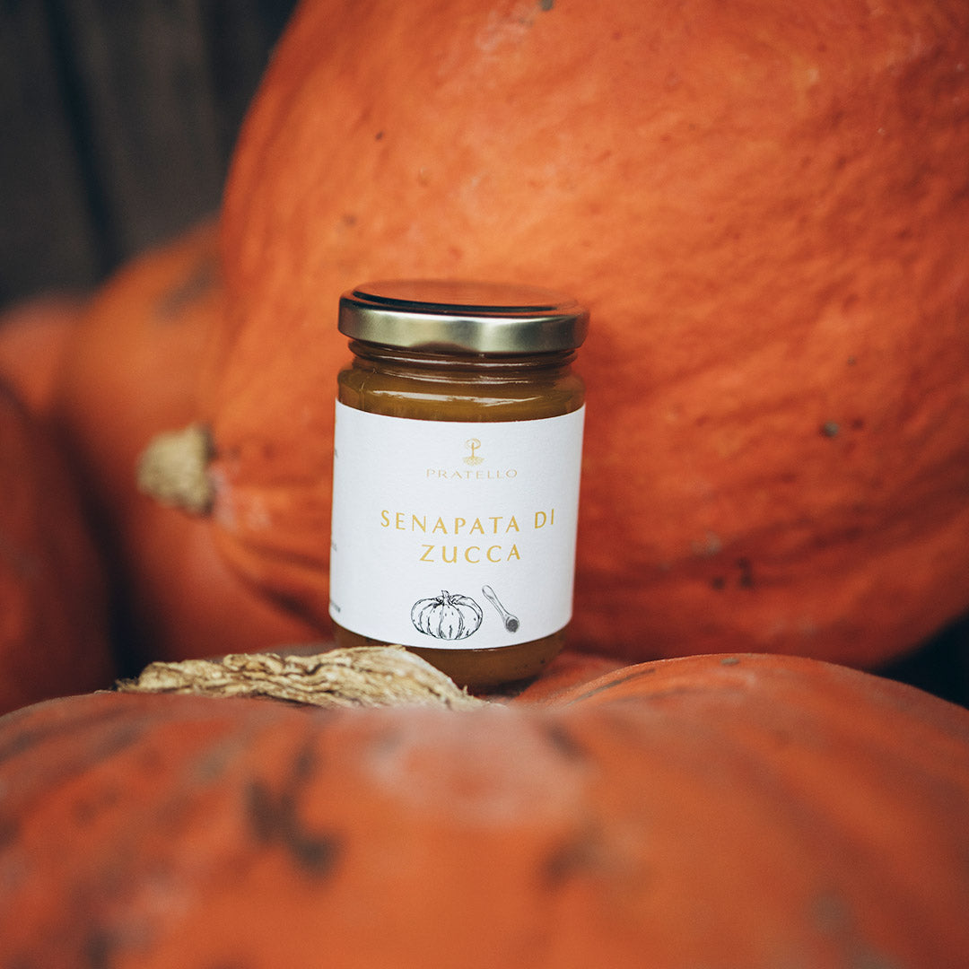 Senapata di Zucca