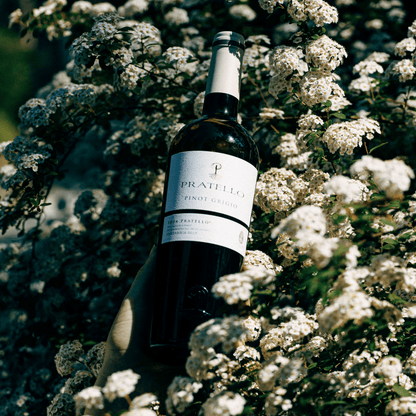 Pinot Grigio - annata 2023