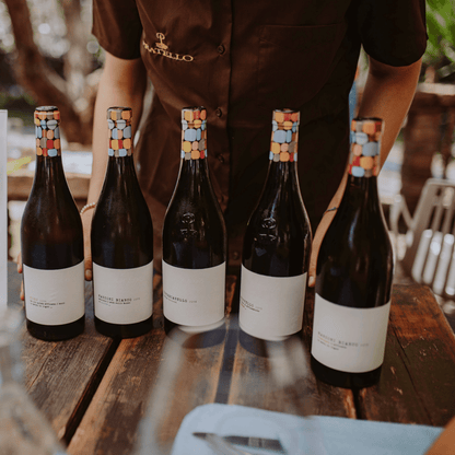 Rosé Shyraz Legno 2019
